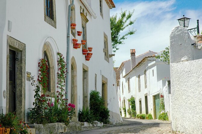 Costa Vicentina Week-Long Bike Tour From Lisbon  - Porto - Experiencing Local Cuisine and Culture