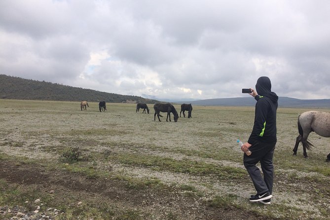 Cotopaxi Volcano (Private Day Trip From Quito) - Convenience and Inclusions of the Tour