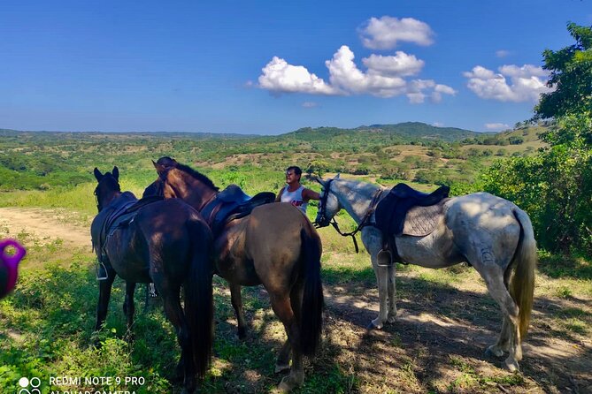Countryside Horseback Riding Eco-Adventure Near Cartagena - Taking in the Countryside Scenery