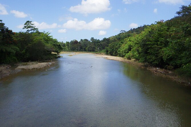 Countryside Tour and Damajagua Waterfalls Hike With Lunch - Enjoying the Buffet Lunch