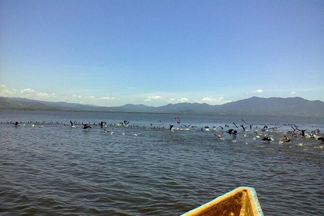 Coyuca Lagoon Tour in Acapulco - Accessibility and Additional Information