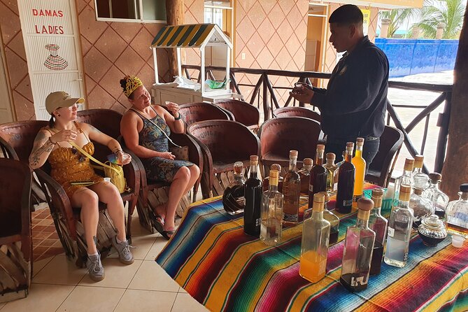 Cozumel 5-Hour Private Bar Crawl Tour - Traveler Reviews and Feedback