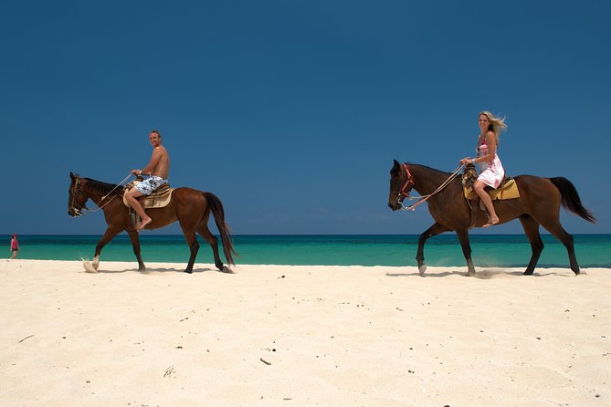 Cozumel Beach Horseback Riding Tour - What to Expect