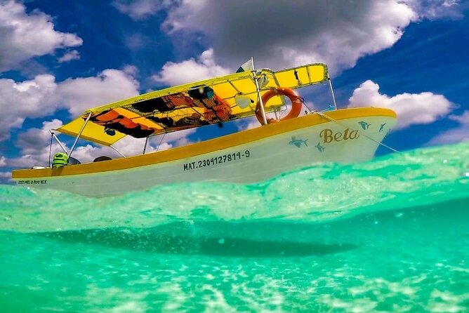 Cozumel Snorkeling Tour: Palancar, Columbia and El Cielo Reefs - Customer Experiences and Reviews