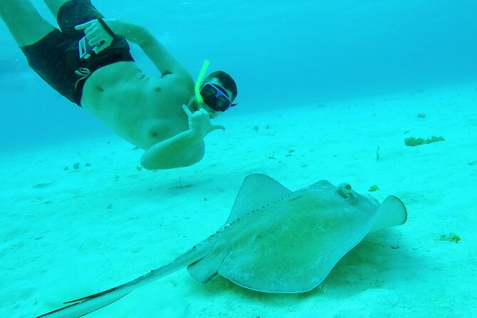Cozumel Snorkeling Tour: Starfish, Stingrays and the Turtle Bay Experience - Positive Feedback
