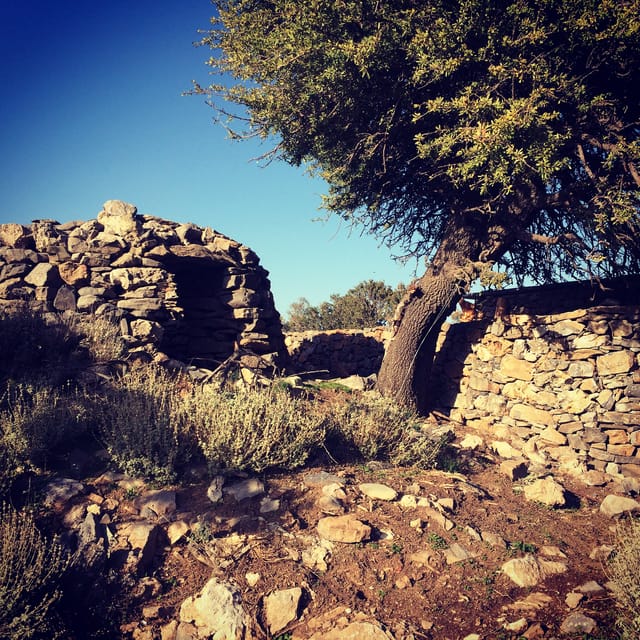 Crete: White Mountains Preserve Day Tour - Tour Experience