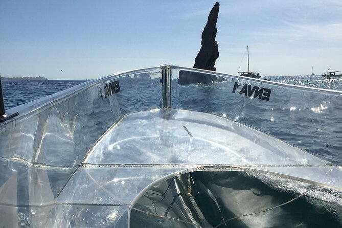 Crystal Clear Boat Tour in Los Cabos - Tour Experience and Activities
