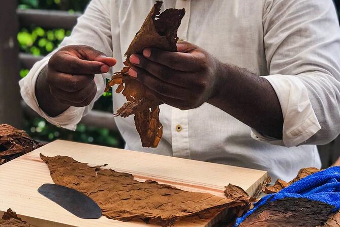 Cuban Cigar Master Class & Beach Break® With Transfer - Downtown Cozumel Exploration