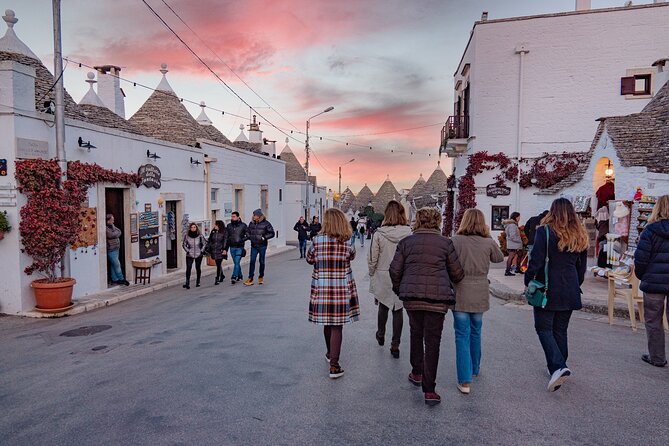 Cultural and Gastronomic Tour in Alberobello - Accessibility Features