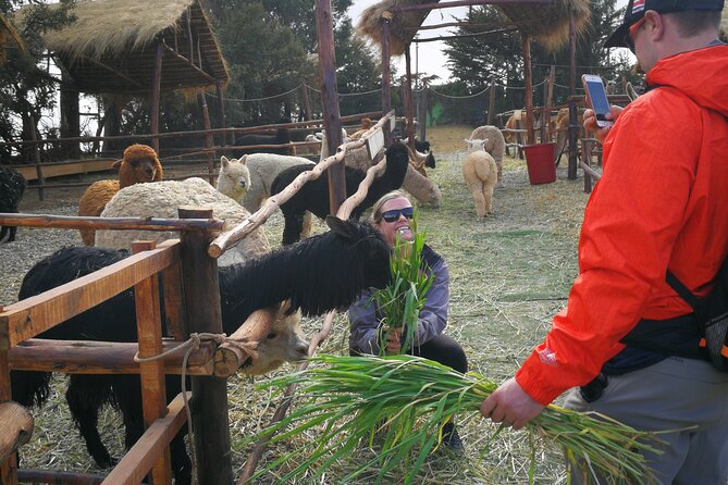 Cusco City Sightseeing Tour - Understanding Inca Engineering at Qenqo