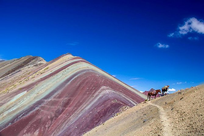 Cusco: Full Day Trekking the Rainbow Mountain With Lunch - Lunch and Refreshments