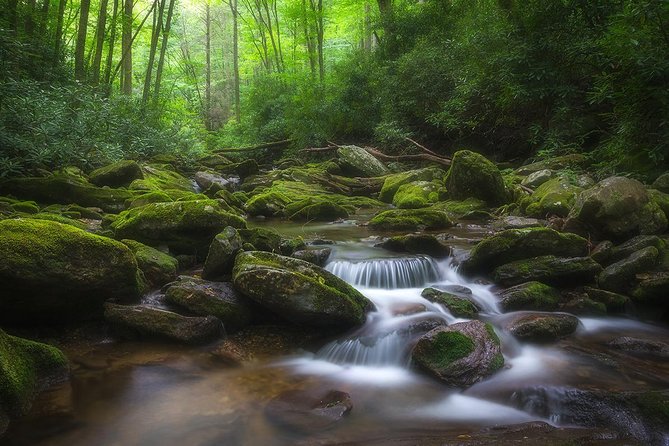 Custom Half-Day Photo Tour With Photography Lessons From Asheville - Customer Reviews and Experiences