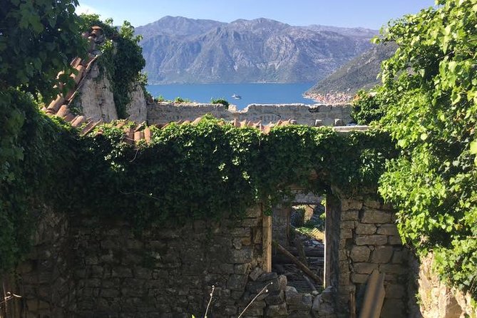 Cycling and Hiking Short Tour Through the Bay of Kotor - Participant Reviews