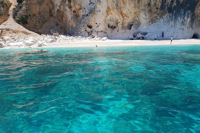 Daily Sailing Trip in the Orosei Coves With Lunch - Customer Reviews and Feedback