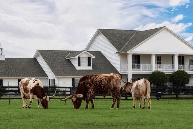 Dallas Southfork Ranch Private Limousine Tour - Pickup and Scheduling