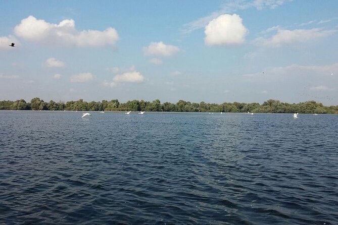 **Danube Delta Trips on the Camely Boat: Departing From Tulcea** - Meeting and Pickup Details
