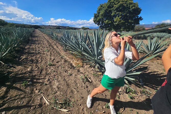 Danzantes Premium Mezcal, Hierve El Agua, Textiles & Lunch - Traveler Experience and Reviews