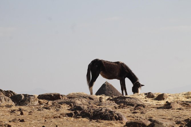 Day Hike Around Lalibela - Experiencing the Landscape