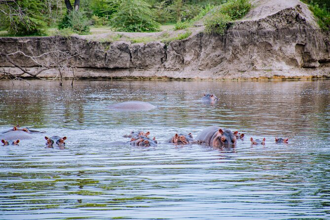Day Safari Tour to Mikumi National Park - Tour Requirements
