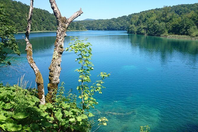 Day Tour From Zadar to Plitvice Lakes - Transportation and Logistics for the Tour