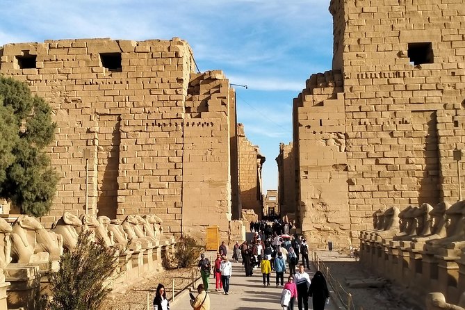 Day Tour Luxor East and West Banks - Pickup and Drop-off