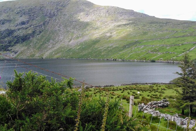 Day Tour Ring of Kerry - Reviews and Ratings
