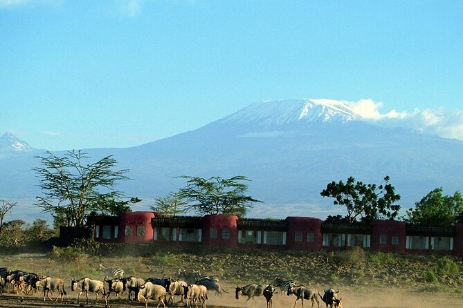 Day Tour to Amboseli National Park - Tips for a Great Experience