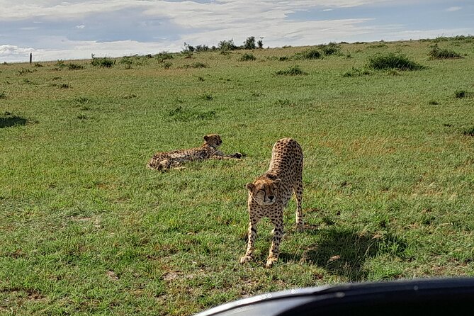 Day Tour To Amboseli National Park From Nairobi - Meeting and Pickup Details