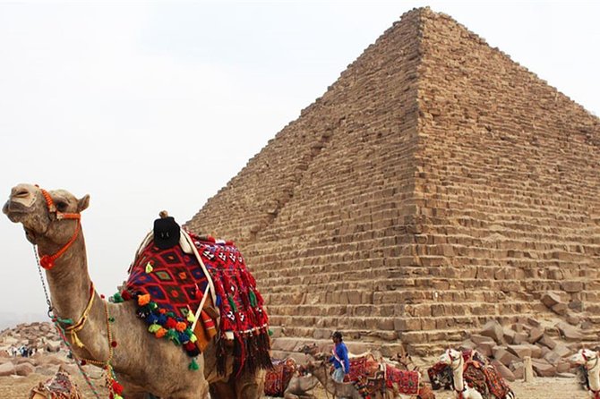 Day Tour To Cairo From Alexandria - Visiting the Egyptian Museum