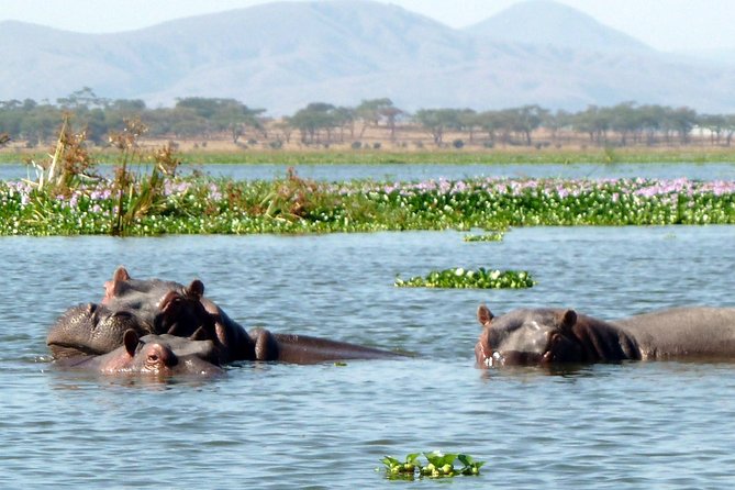 Day Tour to Hells Gate and Optional Boat Ride at Lake Naivasha - Potential Wildlife Sightings