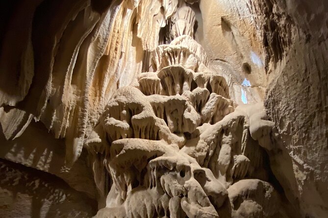 Day Tour to Kings Canyon National Park - Guest Experience and Reviews