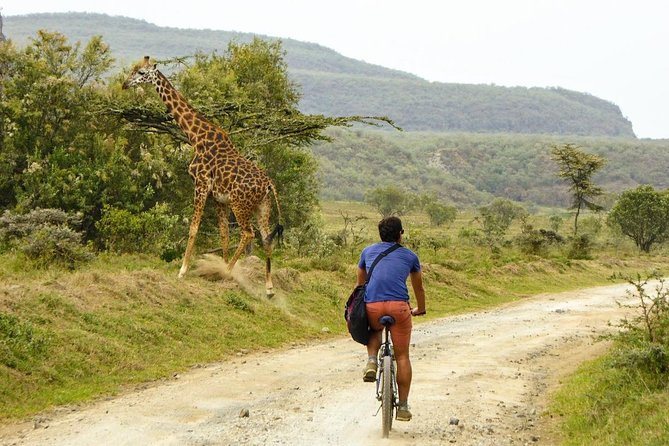 Day Trip - Hells Gate and Lake Naivasha From Nairobi - Costs and Inclusions