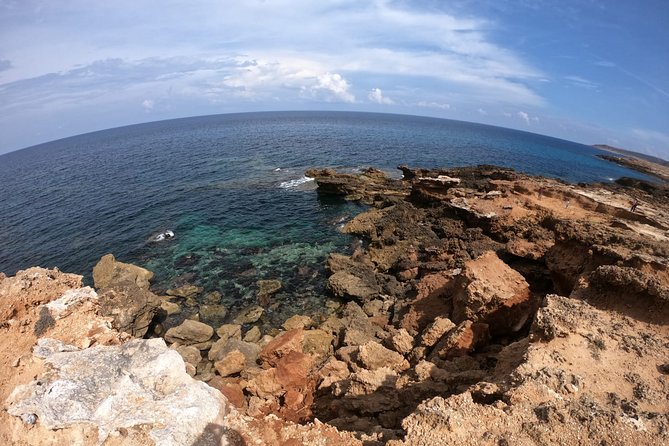 Day Trip off the Beaten Track to Cap Bon From Tunis or Hammamet - Ratings and Highlights