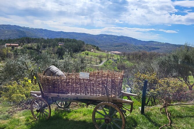 Day Trip on Saturday: HUM and MOTOVUN - Highlights of Motovun