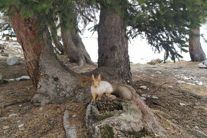 Day Trip to Ala-Archa National Park - Hiking Trails and Activities