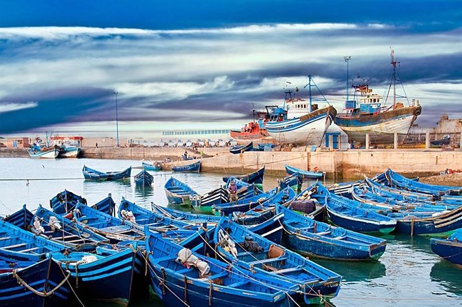 Day Trip To Essaouira - Witnessing Argan Tree Goats