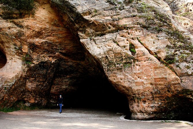 Day Trip to Gauja National Park: Animals, Castles and a Cave - Tour Guide Expertise
