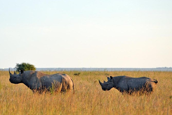 Day Trip to Ol Pejeta Conservancy From Nairobi - Pickup and Confirmation Details