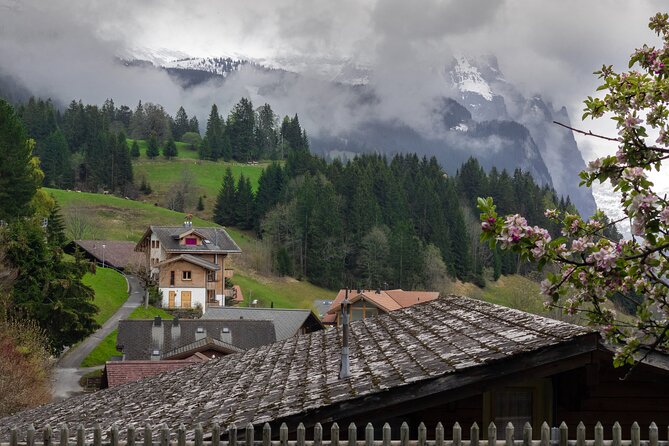 Day Trip to Swiss Villages (Interlaken-Grindelwald) - Scenic Highlights