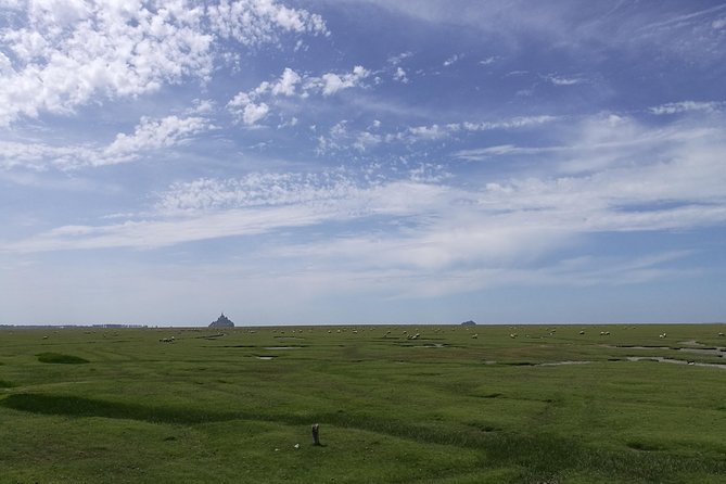 Day Trip With a Local Driver Mont Saint Michel From Saint Malo 6h - Pickup and Availability