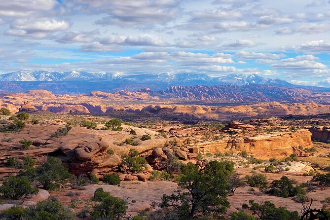 Dead Horse Point Guided Mountain Biking Tour Review - Tour Details and Restrictions