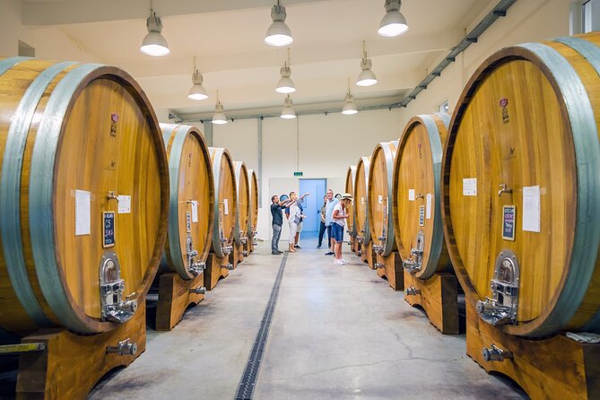 Dealu Mare Wine Country Tour - Lunch Included - Accessibility and Infants