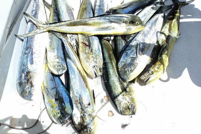 Deep Sea Fishing - Customer Feedback