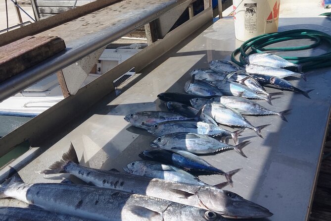 Deep-Sea Private Fishing - Tour Schedule and Availability