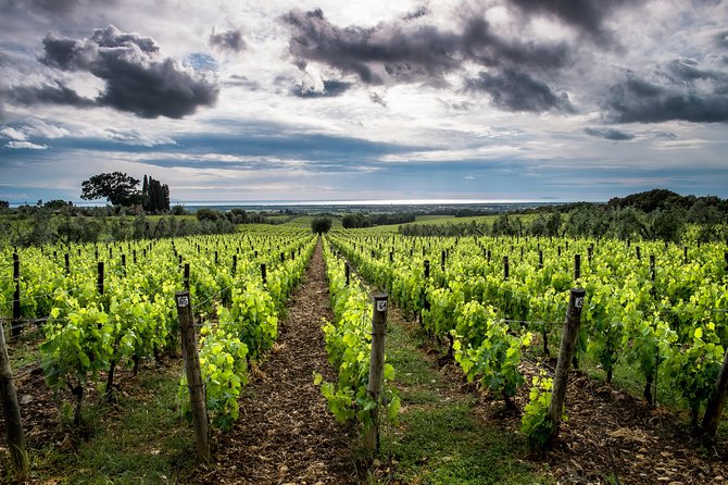 Delightful Tuscany Wine Experience in Charming Places - Savory Bites and Wine Pairings