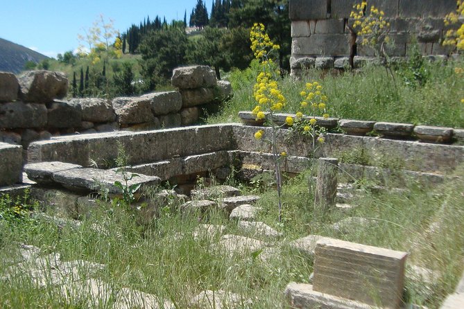 Delphi Self-Guided Audio Tour on Your Phone (No Ticket) - Preparation and Requirements