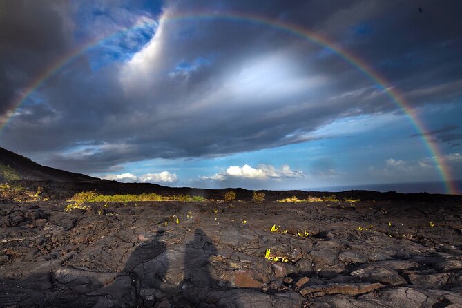 Deluxe Big Island Mercedes Guided Tour to Anywhere - Health and Safety Considerations