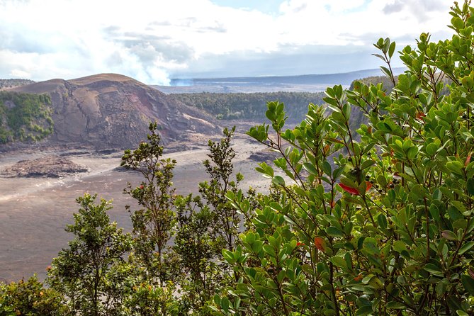 Deluxe Daytime Volcano Guided Charter (Cruise Ship or Hilo Hotel) - Booking and Cancellation Policies