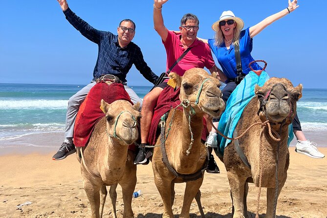 Deluxe Half-Day Private Tour of Tangier - Exceptional Tour Experiences