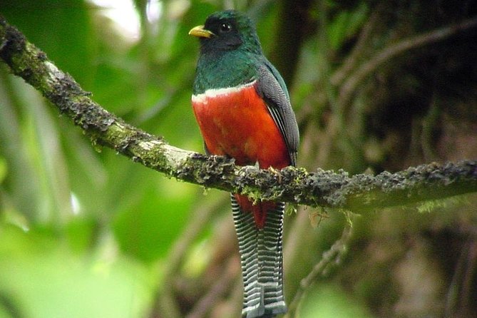 Deluxe Nature Expedition 8 Days - Culinary Delights